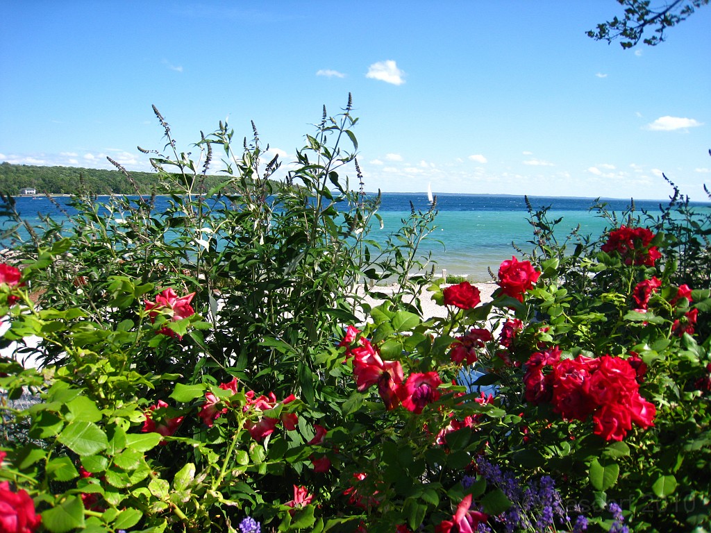 Michigan TC 2010-07 2080.jpg - The Michigan West Coast Tour of July 2010. From Luddington State Park to Traverse City for the Cherry Festival!